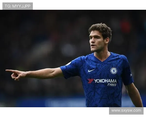 切尔西盯上法廖利波尔图设解约金